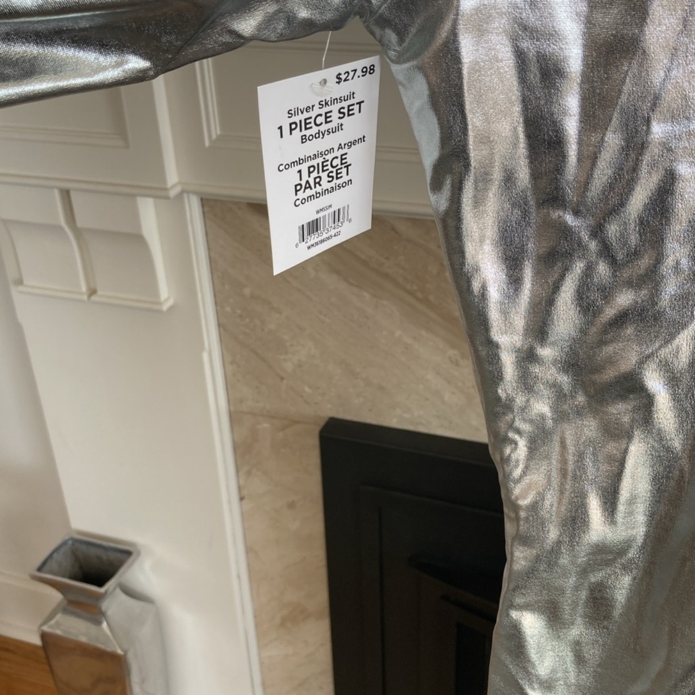 Silver Suit - Picture 3 of 10